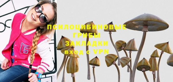 jwh Абаза