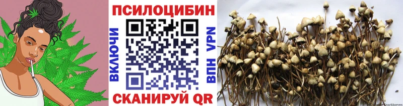 ссылка на мегу ТОР  закладка  Тотьма  Галлюциногенные грибы прущие грибы 