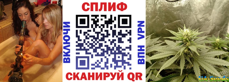 Бошки марихуана индика  кракен как зайти  Тотьма 